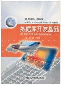 數據庫開發基礎 計算機軟件開發的核心技能