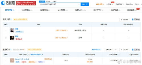 雷軍卸任小米電子產(chǎn)品公司董事長(zhǎng) 對(duì)計(jì)算機(jī)軟件開發(fā)業(yè)務(wù)的影響